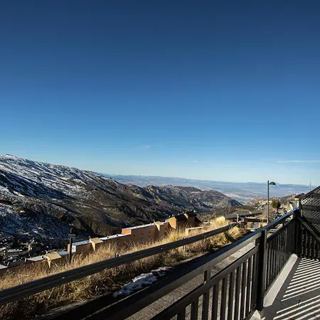 Iris * Sierra Nevada