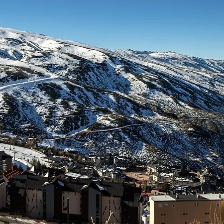 Iris * Sierra Nevada