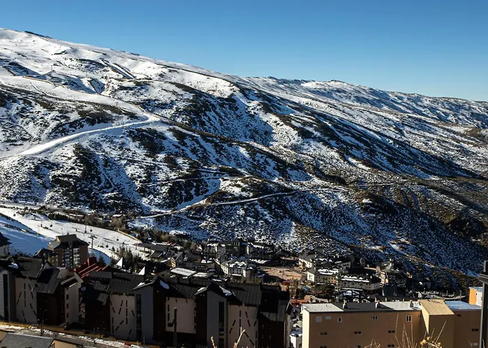 Iris * Sierra Nevada