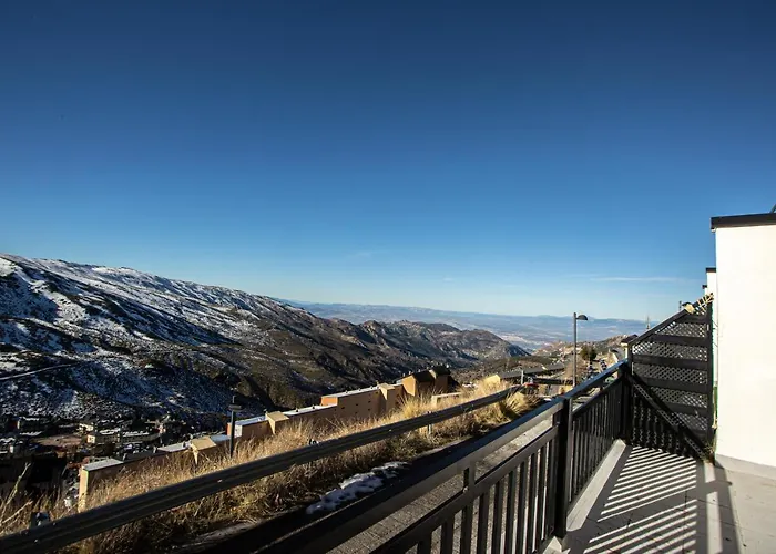 Iris * Sierra Nevada